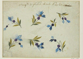 The 7 Pillars of Self Care