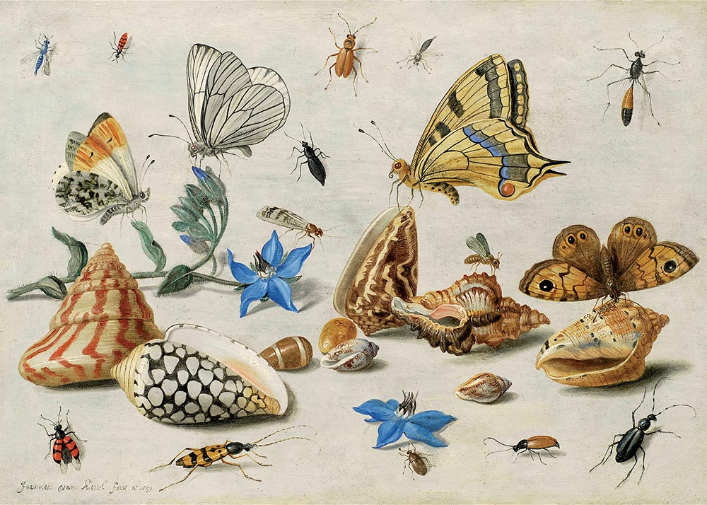 The Youngest You'll Ever Be