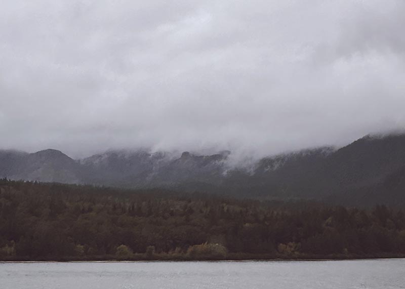 Unexpectedly Disconnected