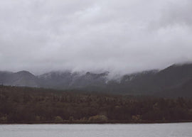 Unexpectedly Disconnected