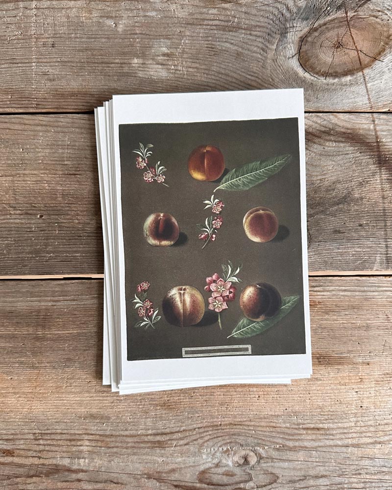 Atèlette Paper Anthology - Vol. I