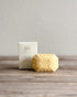 Elixir of Love Soap