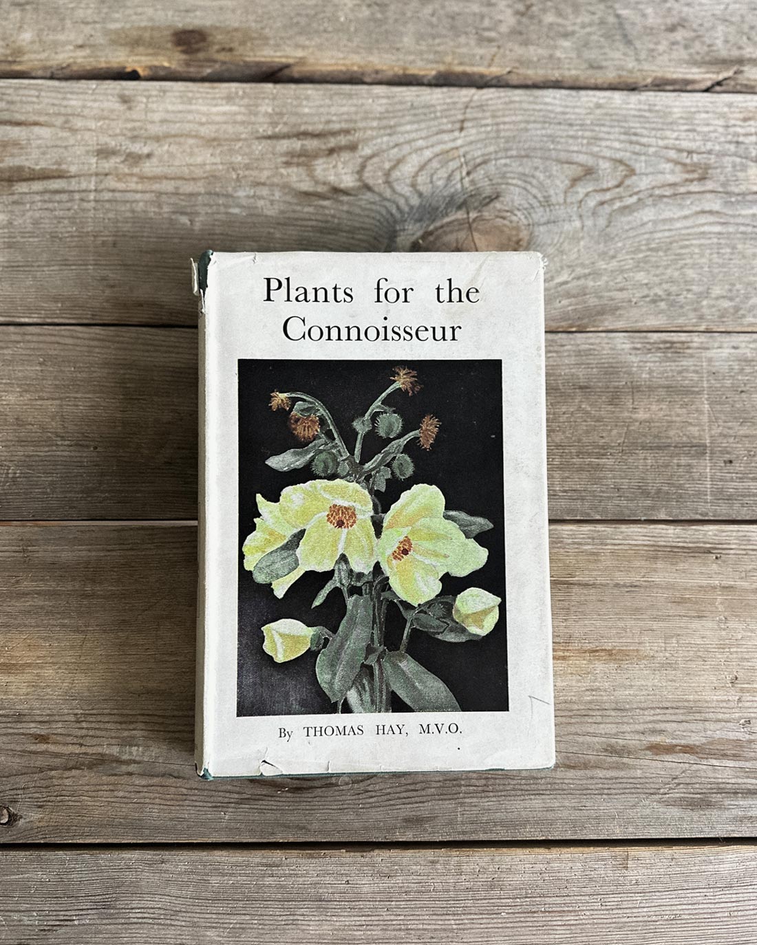 Plants for the Connoisseur